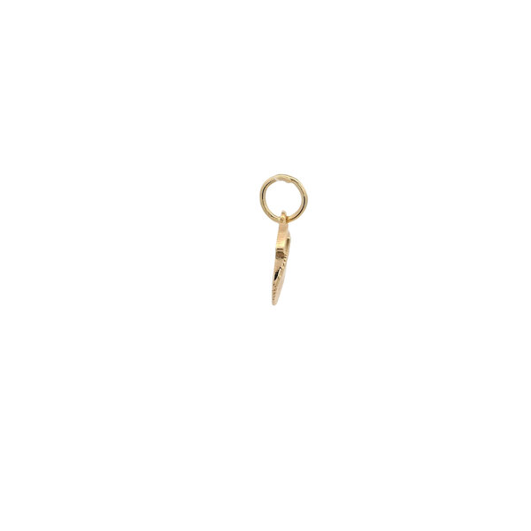 14K Yellow Gold 15x9mm Textured Flat Shell Charm