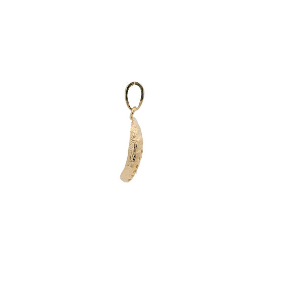 14K Yellow Gold 21x10mm Abalone Shell Charm