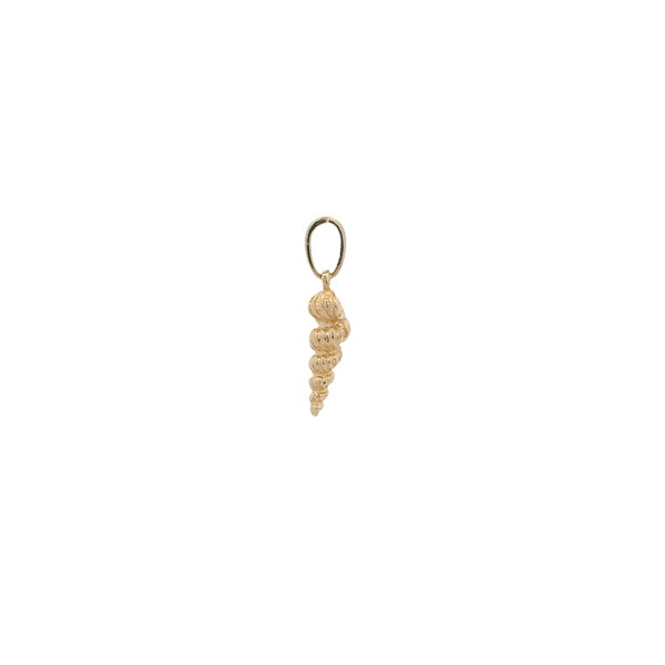 14K Yellow Gold 20x5mm Mini Common Wentletrap Shell Charm