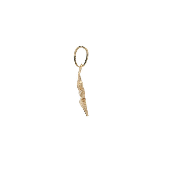 14K Yellow Gold 17x12mm Textured Starfish Charm