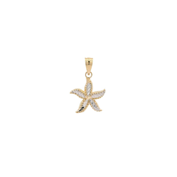 14K Yellow and White Gold 19x12mm Starfish Charm