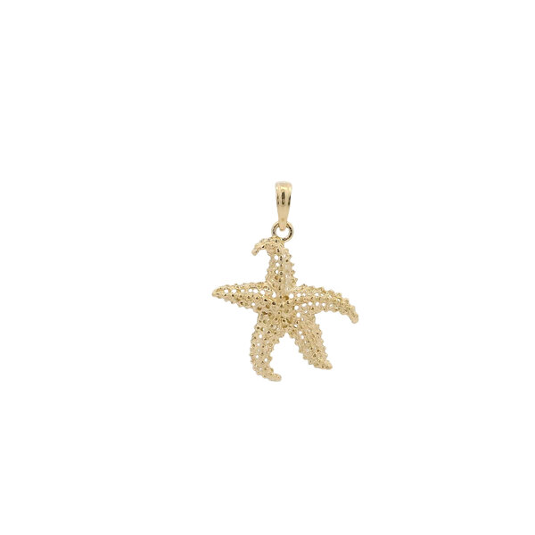 14K Yellow Gold 24x19mm Textured Starfish Charm