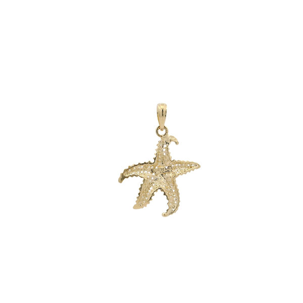 14K Yellow Gold 24x19mm Textured Starfish Charm