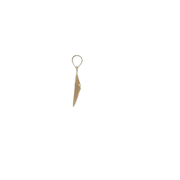 14K Yellow Gold 20x13mm Diamond Cut Satin Textured Sand Dollar Charm