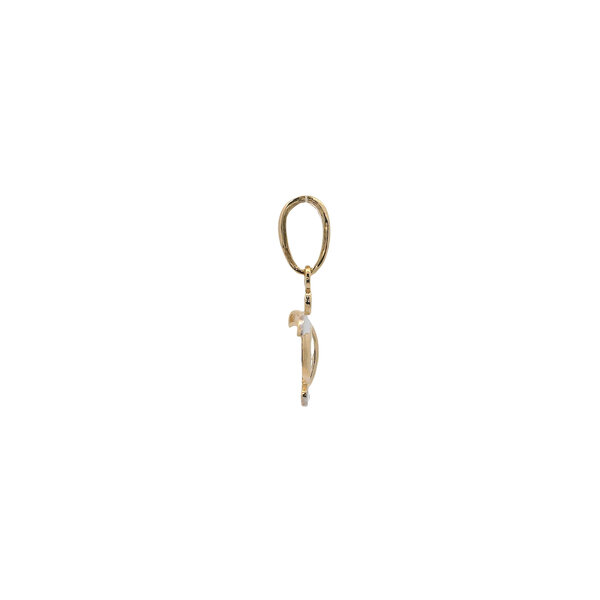 14K Yellow & White Gold Open Shell Turtle Charm 15x10mm