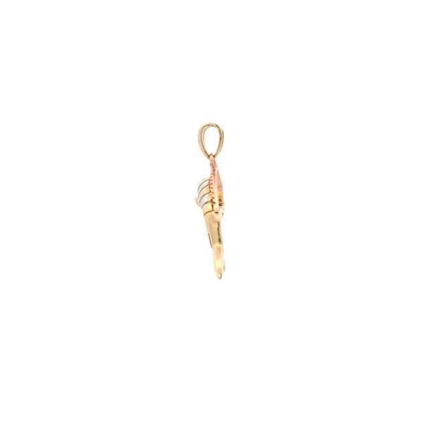 14K Yellow, White, and Rose Gold 30x21mm Polished Sailfish Charm