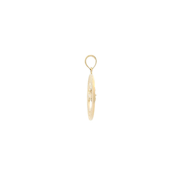14K Yellow Gold Charleston Horse & Carriage Disc Charm