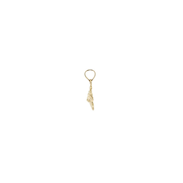 14K Yellow Gold Diamond Cut Textured Turtle Charm 17x13mm