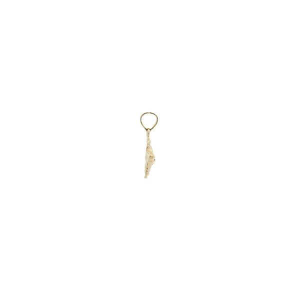 14K Yellow Gold Diamond Cut Textured Turtle Charm 17x13mm