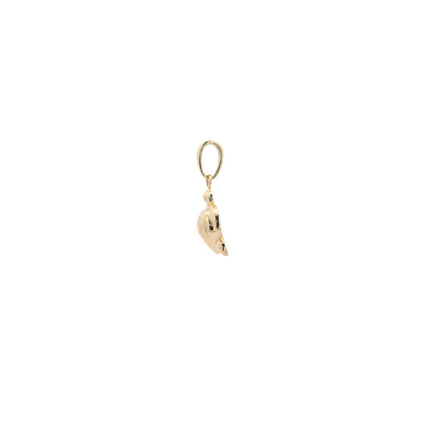 14K Yellow Gold 16x8.8mm Textured Sea Turtle Charm