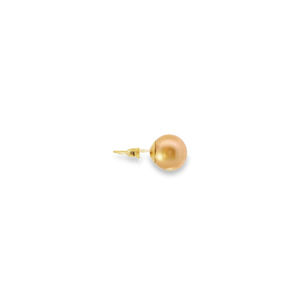 14K Yellow Gold 9-9.5mm Golden Freshwater Pearl Post Earrings