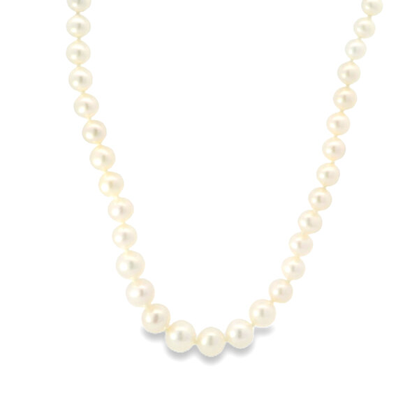 14K Yellow Gold 4-8mm White Freshwater Pearl Graduated Necklace 18"