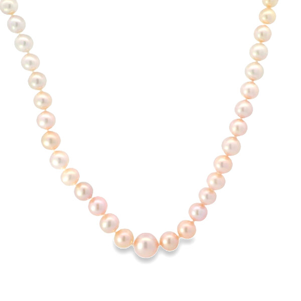 14K Yellow Gold 4-8mm Graduated Pink Freshwater Pearl Necklace 18"
