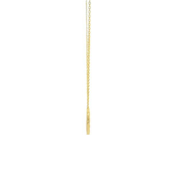 14K Yellow Gold .11ct Diamond  Horseshoe Split Chain Necklace 16"-17"-18"