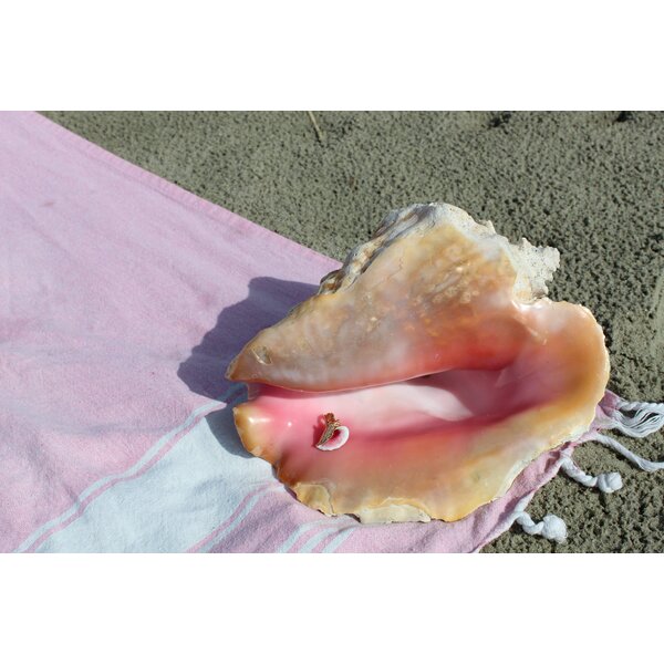 14K Yellow Gold Enameled Conch Shell 3/4"