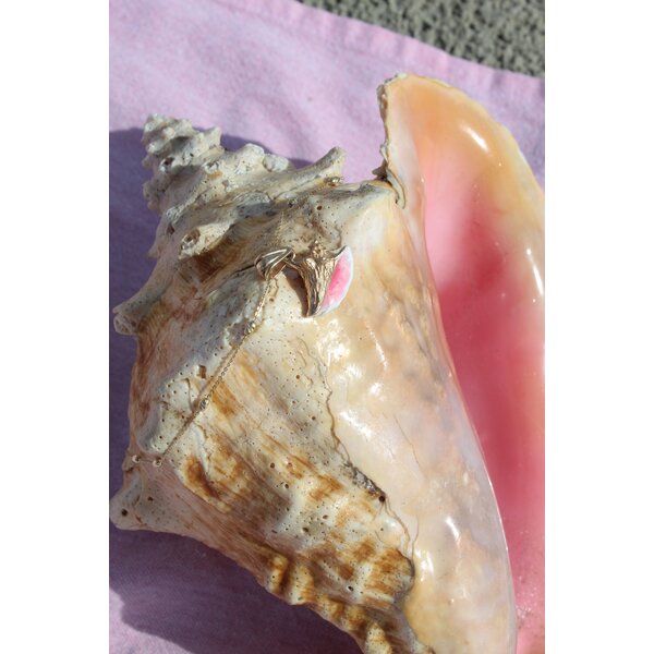 14K Yellow Gold Enameled Conch Shell 5/8"