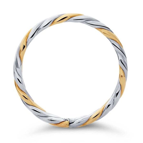Sterling Silver & Gold Filled Twisted Rope Band