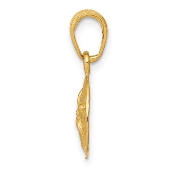 14K Yellow Gold 19x11.45mm Polished Sand Dollar Charm
