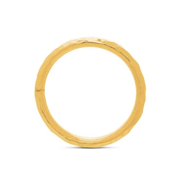 Gold Filled 3.2mm Faceted Band
