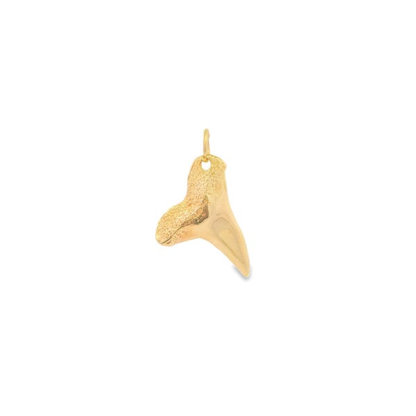 14K Yellow Gold Estate 24x20mm Polished/Textured Shark Tooth Charm