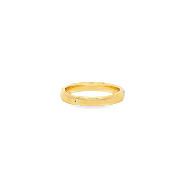 10K Yellow Gold .25ct Diamond & Polished Double Row Band Size 7