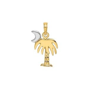 14KYW 21x13mm Polished Palmetto & Moon Charm