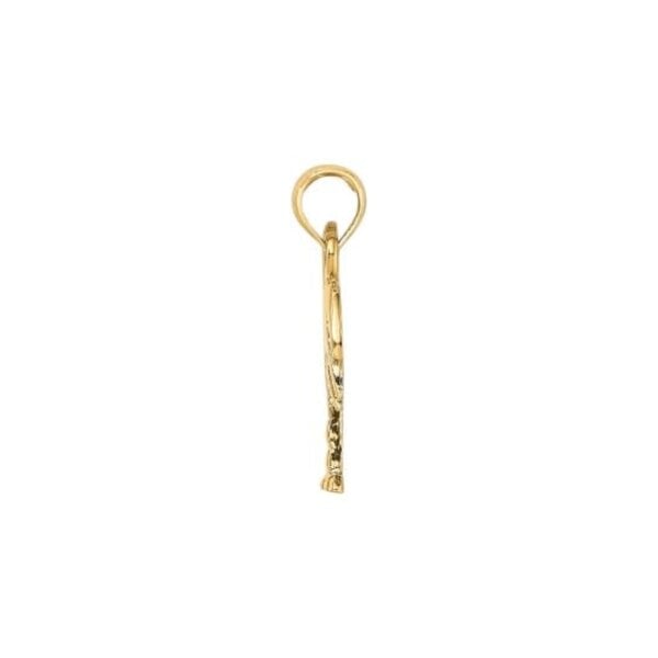 14K Yellow and White Gold 21x13mm Polished Palmetto & Moon Charm