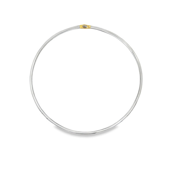 14K Yellow & White Gold 3mm Reversible Polished Omega 18"