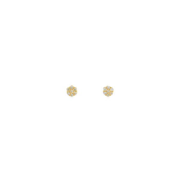 14K Yellow Gold .25ct Diamond Floral Cluster Post Earrings 5mm
