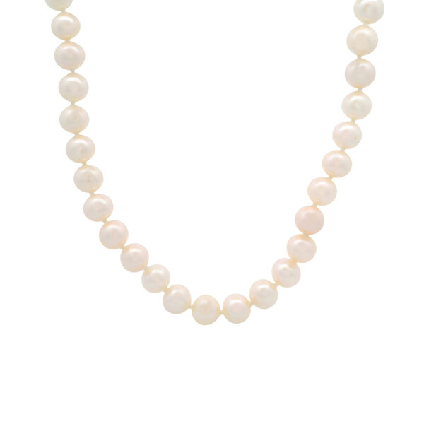 14K Yellow Gold  7.5-8mm Freshwater Pearl Necklace Strand 18"