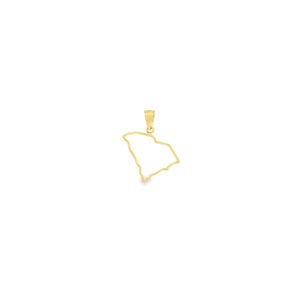 14KY SC State Outline 22mm