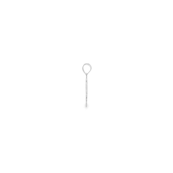 Sterling Silver South Carolina State Outline 22mm