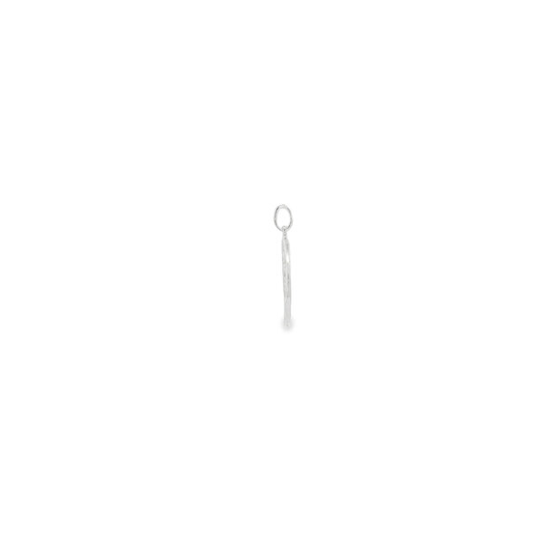 Sterling Silver Polished Palmetto & Crescent Moon Circle Charm 24x18mm