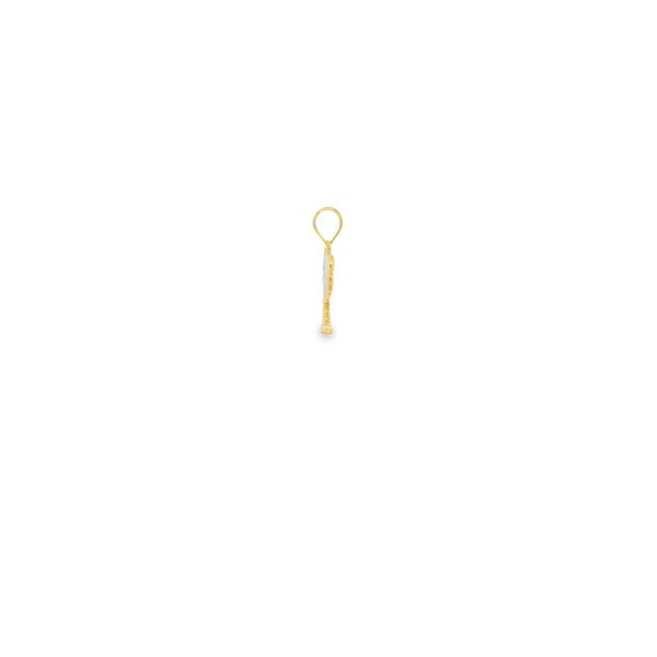 14K Yellow Gold Gold Creations Original Polished Palmetto & Moon Charm 22x14mm