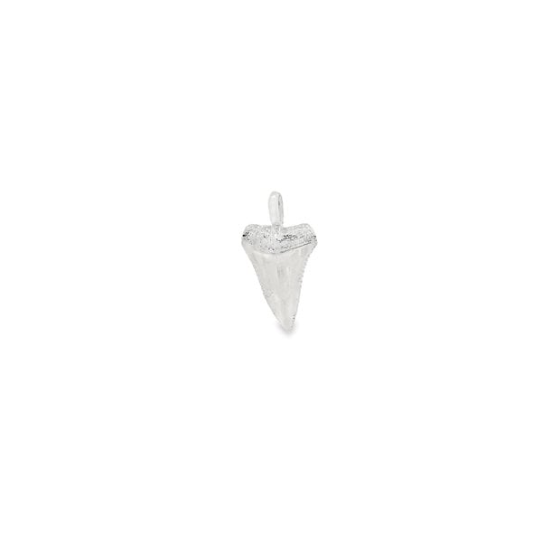 Sterling Silver 3-D Textured Shark Tooth Pendant 1-1/16"