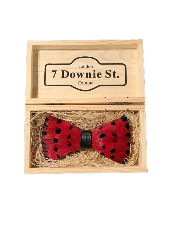 7 Downie St. 7 Downie St. Feather Bow Tie Red / Full Dots