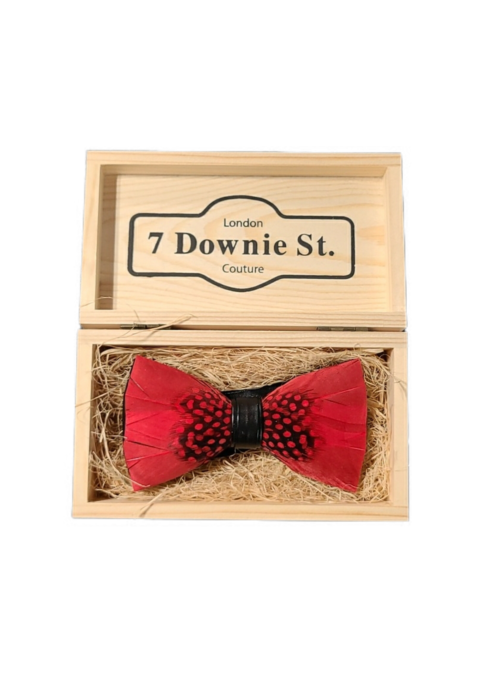 7 Downie St. 7 Downie St. Feather Bow Tie Red / Mid Dots