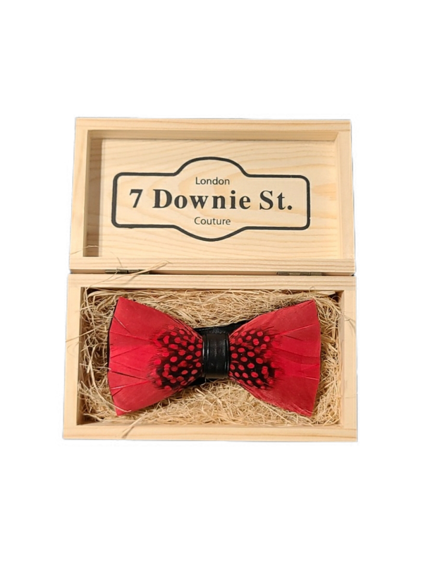 7 Downie St. 7 Downie St. Feather Bow Tie Red / Mid Dots