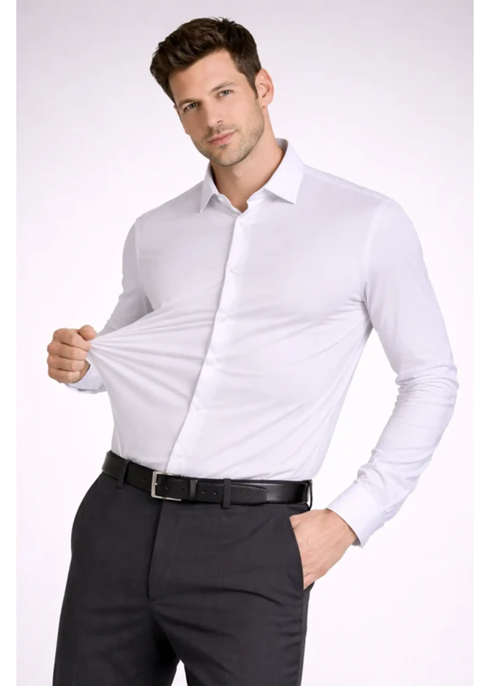 Alpha & Steele Alpha Steele Stretch Shirt AS1H3146
