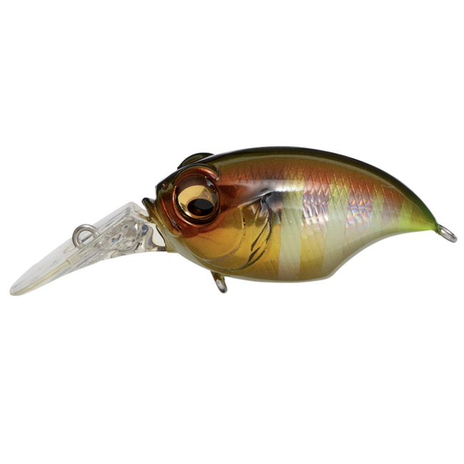 Megabass Griffon SR-X (BFS) – Three Rivers Tackle