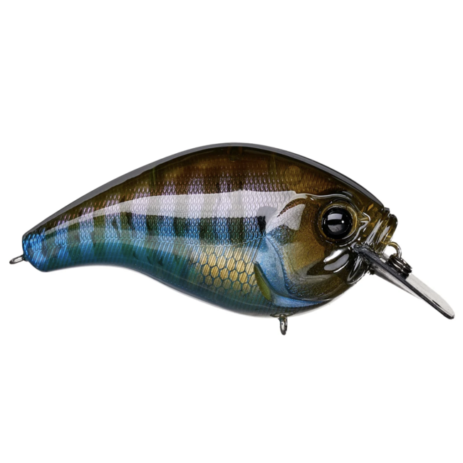 13 Fishing 13 Fishing Scamp Square bill