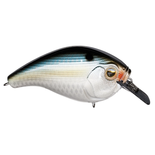 13 Fishing 13 Fishing Scamp Square bill