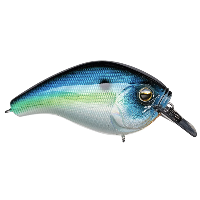 13 Fishing 13 Fishing Scamp Square bill