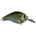 13 Fishing Jabber Jaw