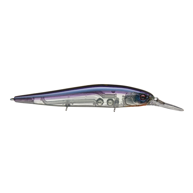 13 Fishing Loco Special