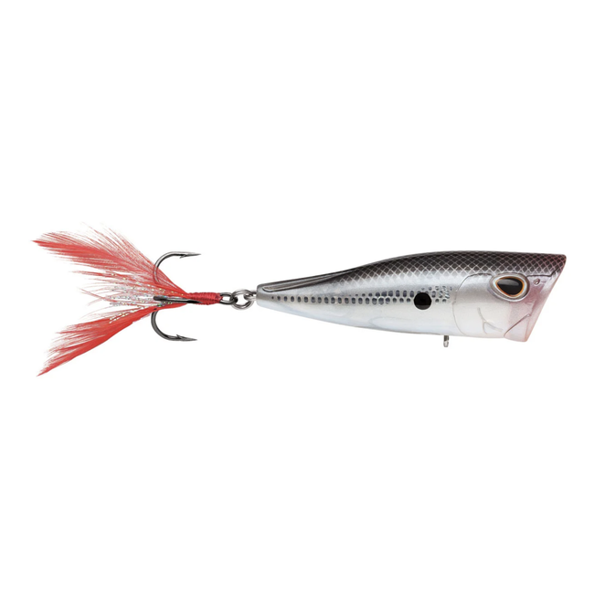 Storm Storm Arashi  Cover Pop