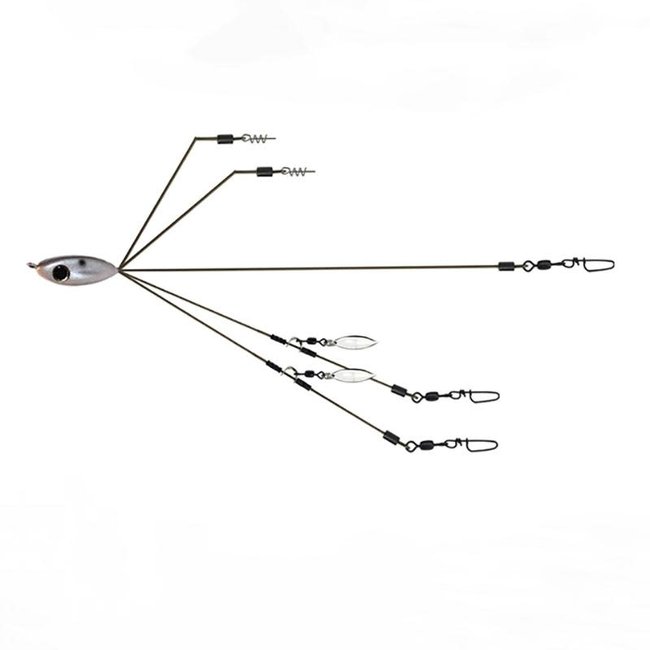 Picasso BFL Smackdown Perfection