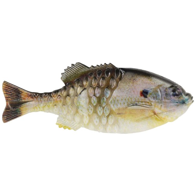 Berkley PB Gilly