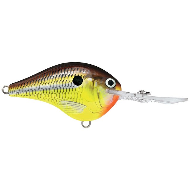 RAPALA DT10 Crankbaits