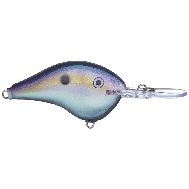 RAPALA DT10 Crankbaits